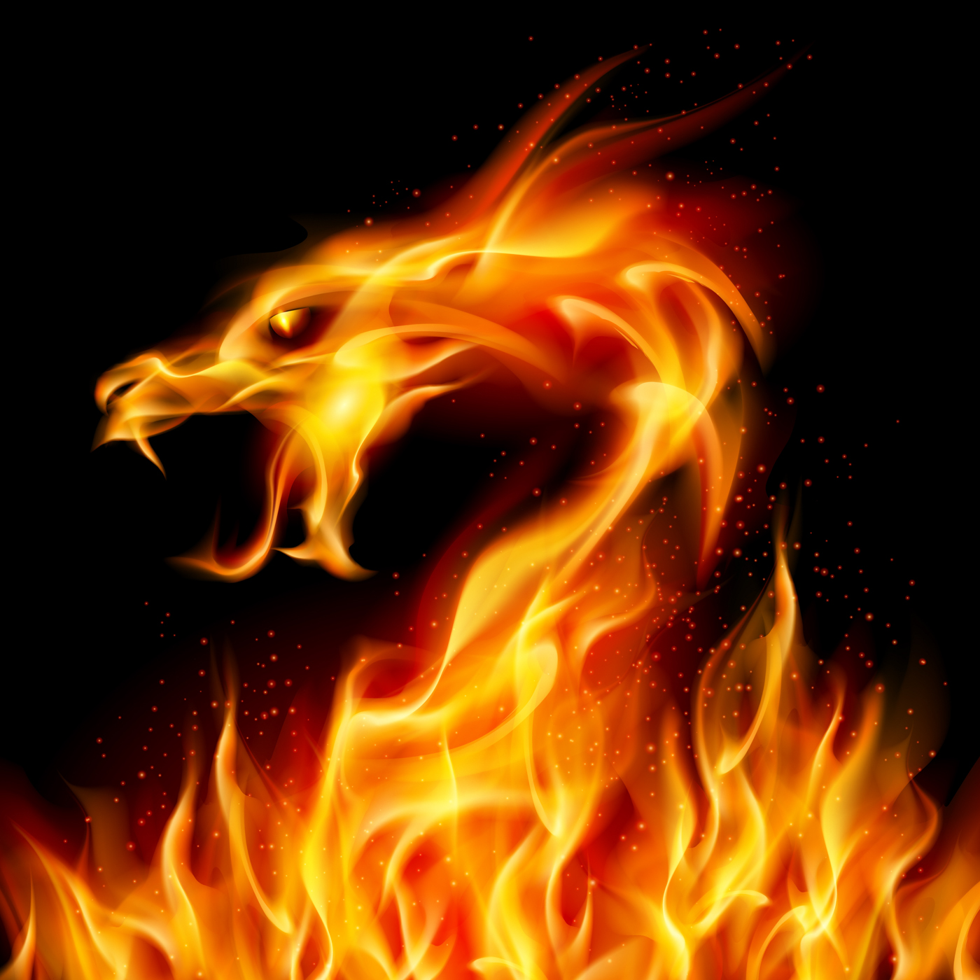 Fire Dragon on Black background