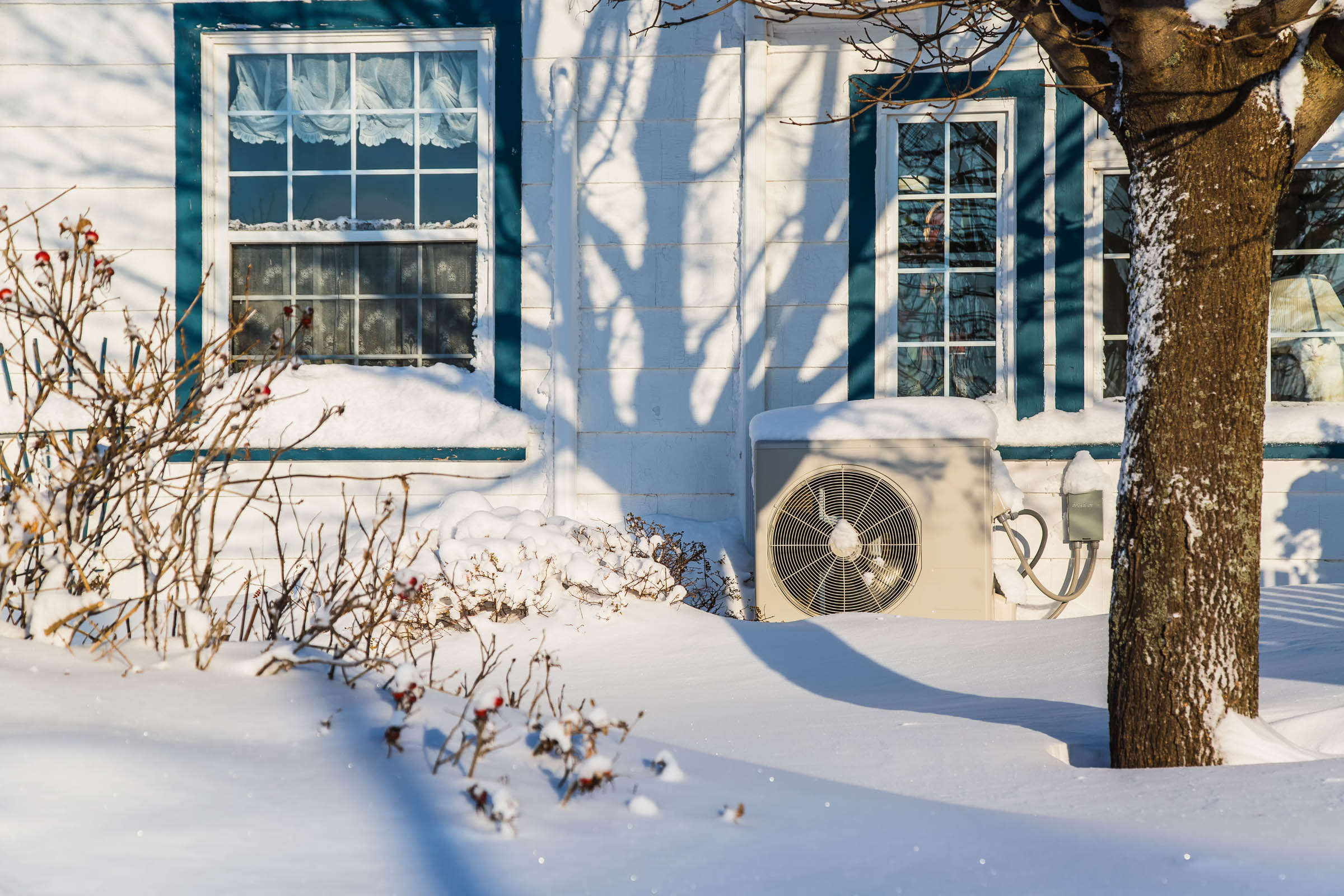 A heat pump unit outside a white house with teal window trim, surrounded by snow and bare shrubs, with shadows of tree branches on the facade.
