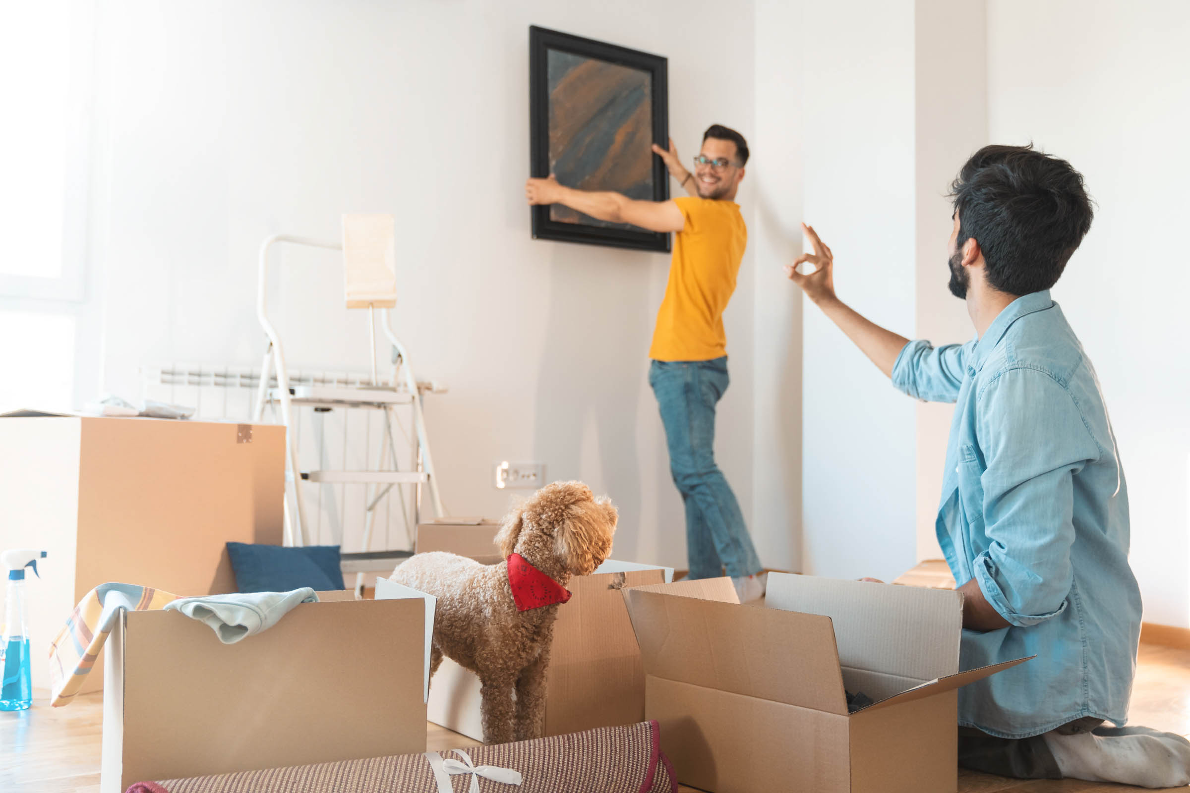 Two people unpacking boxes and hanging a painting in a bright, airy room with a dog wearing a red bandana, illustrating a new beginning with Indoor Air Quality in mind.